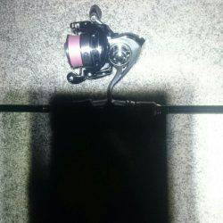 そろそろかな。