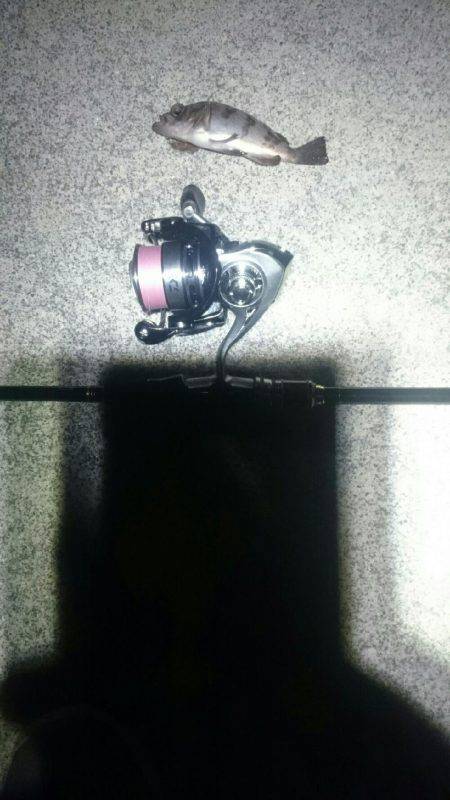 そろそろかな。