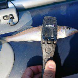 アジングロッドでボートキス