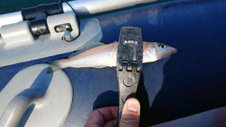 アジングロッドでボートキス