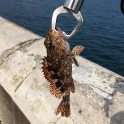 和歌山マリーナシティ大波止 内外