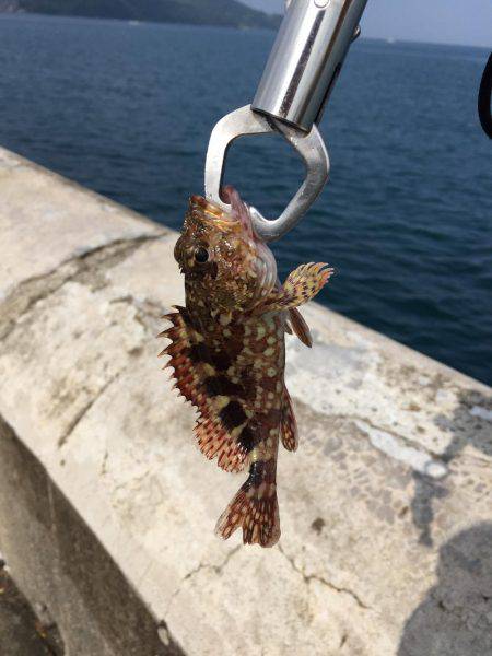 和歌山マリーナシティ大波止 内外