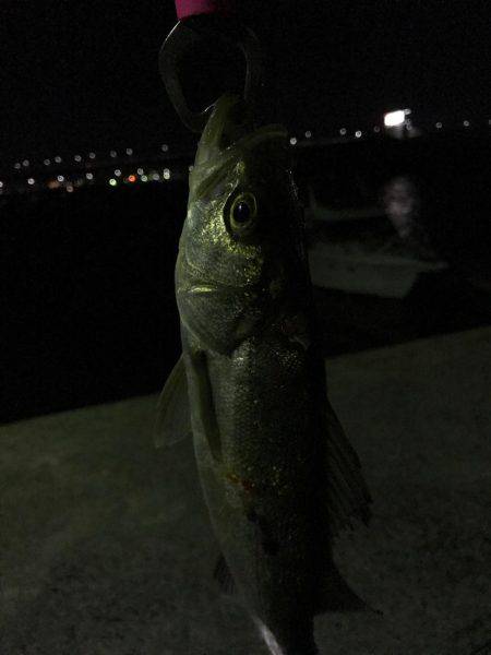 仕事終わりに！