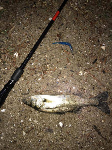 だんだん小さくなっていく