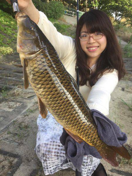 ダイソー釣具でカープフィッシング★