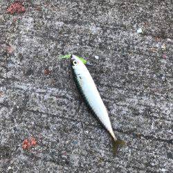 もう、勘弁して下さい！