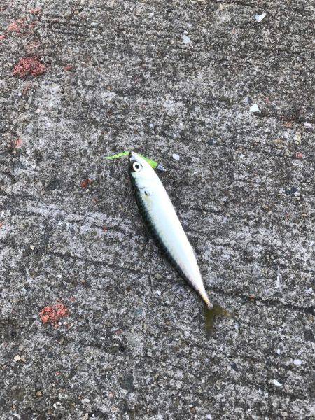 もう、勘弁して下さい！