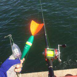 いつかは記録賞で