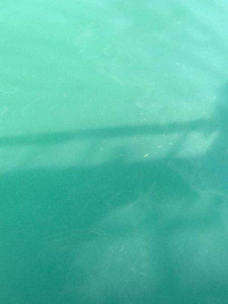 子供とサビキ釣行