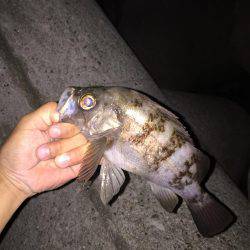 フロートゲーム