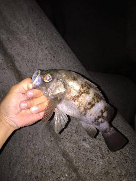 フロートゲーム