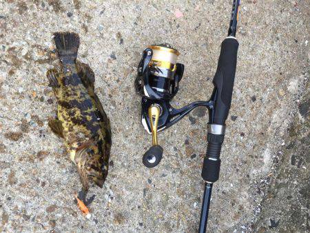 エギングするつもりが