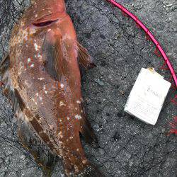 高砂港釣り情報