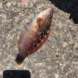 終わりよければ全てよし？