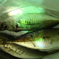 アジング後ゲリラ豪雨