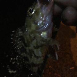 今日も仕事帰りに…