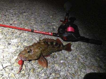 強風の為穴釣り