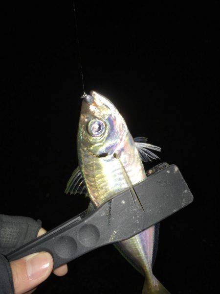 長時間釣りたい