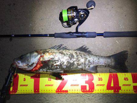 名古屋港ナイトゲーム