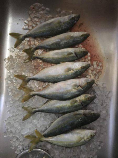 バッキャロー1人釣行記vol.1