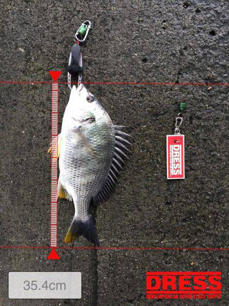 雨ーーーーーーーーー