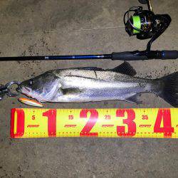 名古屋港ナイトゲーム