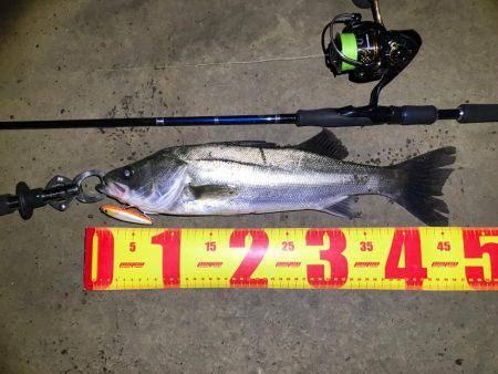 名古屋港ナイトゲーム