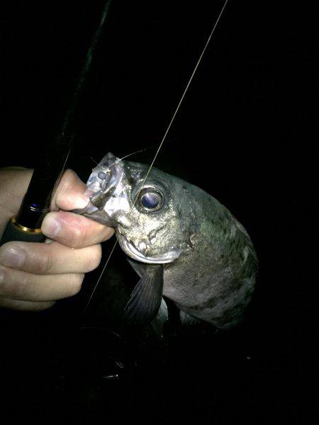 ジグ単じゃ無理ー