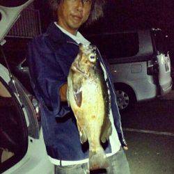 プラッキングで梅雨メバル