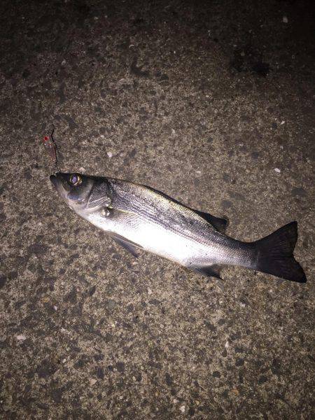 マイクロプラグ