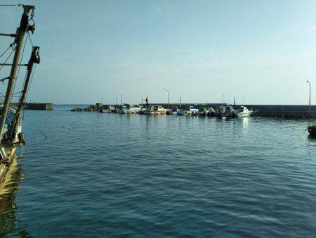 6月の海上釣堀オーパ!!