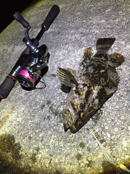 ライトゲーム！