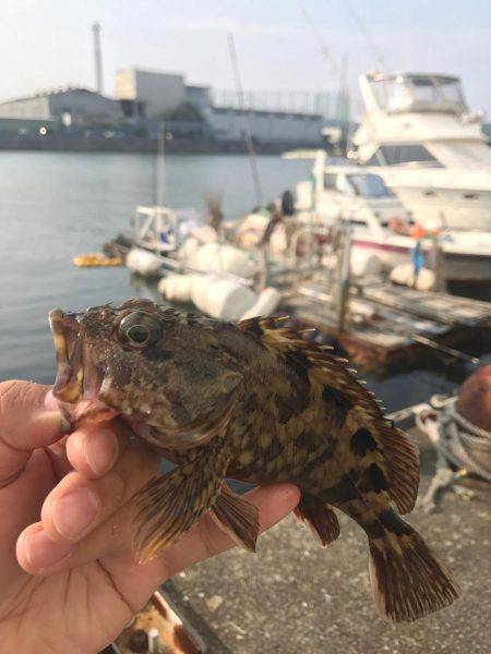 落とし込みでガッシー