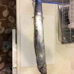 18時間耐久釣り