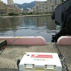 エビ撒きズボ釣り