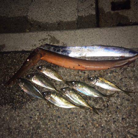 ショアジギングと泳がせ釣り