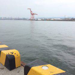 ファミリーフィッシング