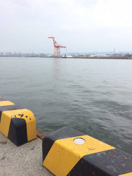 ファミリーフィッシング