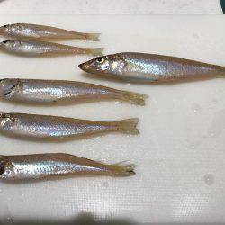 キスが良いです！！