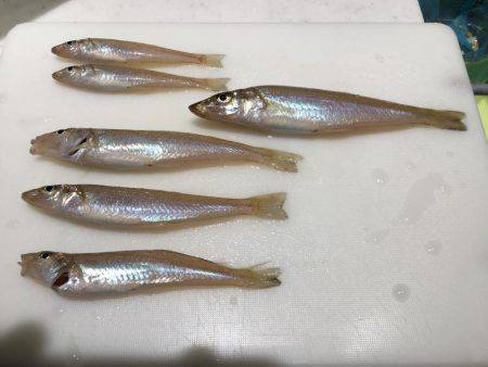 キスが良いです！！