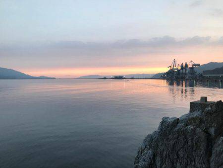 ロックフィッシュ!アコウ!!ガシラ!!!