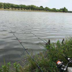 水元公園で、小物釣りしました！