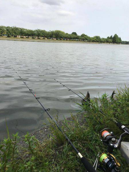 水元公園で、小物釣りしました！