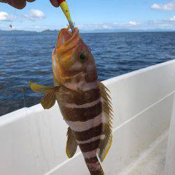 イカメタル調査＆キス調査