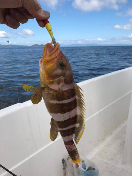 イカメタル調査＆キス調査