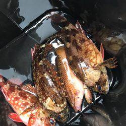 子供と穴釣り♪