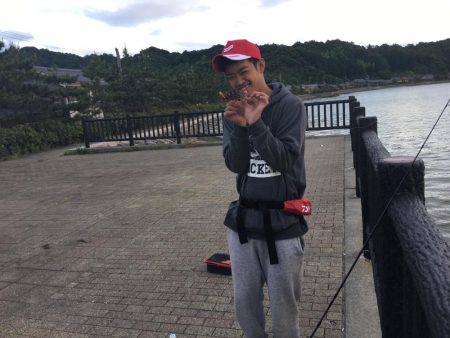 日本海ロックフィッシュ