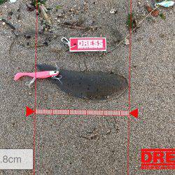 磯津サーフにて