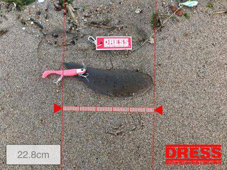 磯津サーフにて