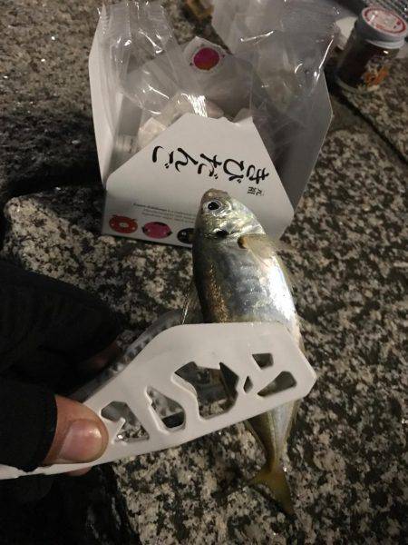 3たびのアジング！